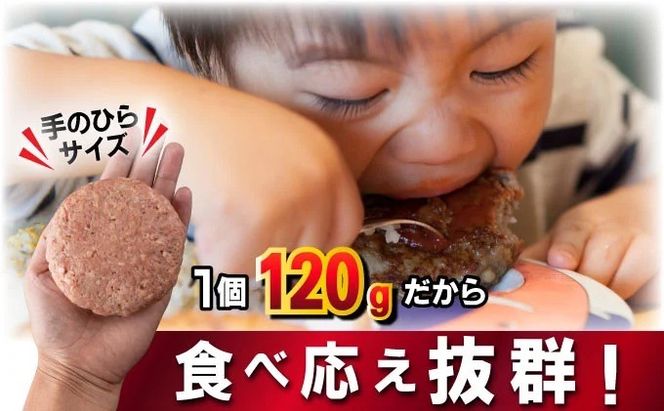 《数量限定》総重量2.7kg 佐賀牛ハンバーグ 【120g×23個】 計2760g