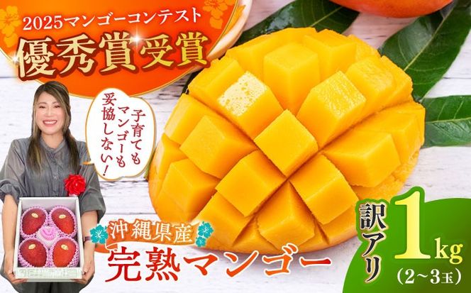 【優秀賞受賞】沖縄県産 完熟マンゴー 訳アリ 1kg (2〜3玉) マンゴー 沖縄 果物 フルーツ ギフト 沖縄市 / MAIFARM[BCAN003]