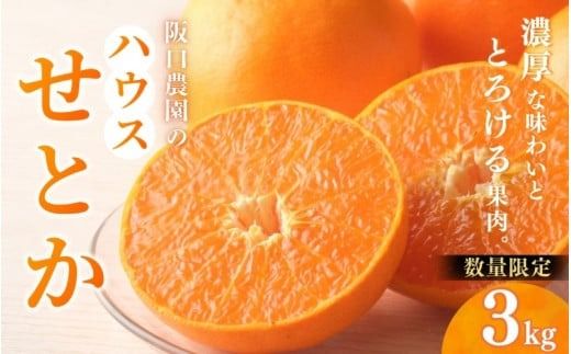 みかん せとか 阪口農園のハウスせとか 3kg (2L〜3L 9玉〜12玉) [先行予約][数量限定][2026年2月中旬〜3月中旬までに順次発送] せとか ハウスせとか みかん ミカン 蜜柑 柑橘 フルーツ 果物 くだもの 旬 産地直送 農家直送[msa001B]