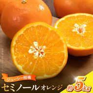 【2027年先行予約】ジューシー柑橘 セミノールオレンジ 約5kg_G7373