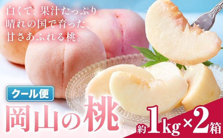 ＼豊作につき特別寄附額/ 最短翌日発送! 桃 岡山の桃 約1kg × 2箱 [1-5営業日出荷予定]岡山県 笠岡市 白桃 岡山 はくとう スイーツ フルーツ 果物 旬 モモ もも 果物 清水白桃 白鳳 クール便---kasaoka_zsy_409_1010_eve_s---