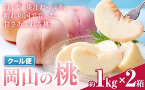 ＼豊作につき特別寄附額／ 最短翌日発送！ 桃 岡山の桃 約1kg × 2箱 《1-5営業日出荷予定》岡山県 笠岡市 白桃 岡山 はくとう スイーツ フルーツ 果物 旬 モモ もも 果物 清水白桃 白鳳 クール便---kasaoka_zsy_409_1010_eve_s---