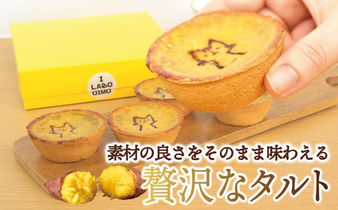099H4535 国産紅はるか100％使用 干し芋屋のスイートポテトタルト【紅はるか 芋 いも イモ おやつ タルト サツマイモ】