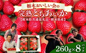 栃木おいしい会のいちご（とちあいか）260g×8パック（2080g）｜栃木県共通返礼品 栃木県産 ※2027年1月～発送