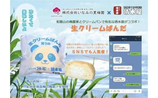 生クリームぱんだ (青うめ) 10個 もっちりふわふわのパンで包んだ絶品パン[inm910]