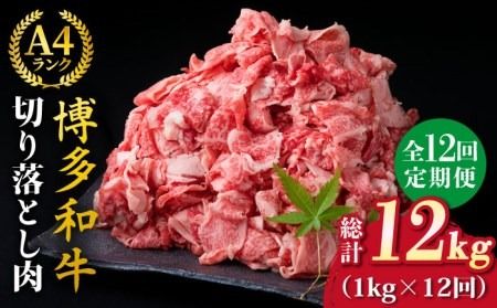 【全12回定期便】A4～A5ランク 博多和牛 切り落とし 1kg （250g×4P） 切り落し《糸島》【糸島ミートデリ工房】 [ACA191] 和牛 牛肉 牛丼 BBQ すき焼き 焼きしゃぶ 肉じゃが 小分け 国産 定期便
