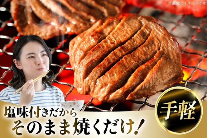 厚切り 牛タン 500g 2p 計1kg 大容量 [亀山精肉店 宮城県 気仙沼市 20564898] 精肉 肉 牛肉 牛たん 牛タン ぎゅうたん タン 厚切り 冷凍 焼肉 焼き肉 BBQ アウトドア