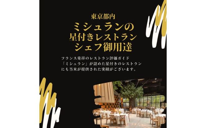 【令和7年度産/白米】ハツシモ 10kg 岐阜県海津市産