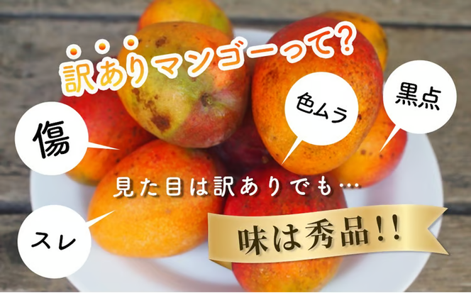 ハナトフルーツ 沖縄県産 訳ありマンゴー２ｋｇ 【 先行予約 2026年発送 】