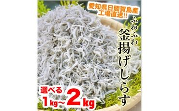 選べる しらす 1kg 〜 2kg 釜揚げしらす 島の工場から直送 愛知県 日間賀島産 減塩 冷凍 丸豊 魚 さかな ご飯 ごはん 国産 シラス 離乳食 人気 おすすめ 愛知県 南知多町