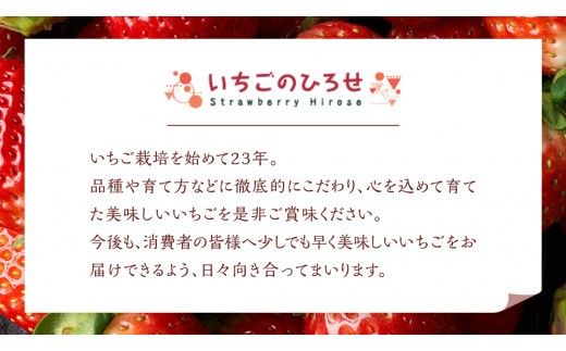 【 茨城いちごグランプリ 受賞 農園 】 完熟 いばらキッス 4パック 茨城県オリジナル品種 イチゴ 苺 フルーツ 果物 果実 [DY003ci]