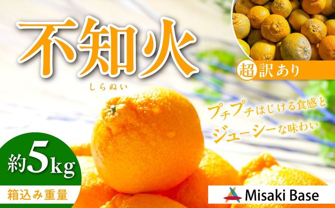 【先行受付】【※超訳あり】不知火（しらぬい） 5kg ※離島への配送不可 （2026年2月中旬より順次発送） IKTAB005 