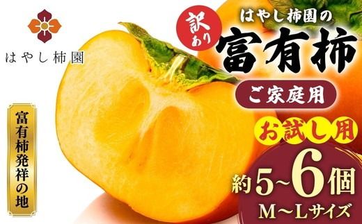 【先行予約】【訳アリ】はやし柿園のご家庭用 富有柿 M~Lサイズ 約5~6個（お試し用） | 柿 カキ かき 訳アリ わけあり 果物 フルーツ 予約 高糖度 濃厚 秋の味覚 旬 お取り寄せ お取り寄せグルメ ご自宅用 ※2026年11月中旬頃より順次発送予定 ※離島への配送不可