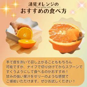 【先行予約】 秀優品 清見オレンジ 10kg 【S～３Lサイズ混合】 【2027年3月中旬から2027年4月中旬頃に順次発送】/みかん 清見 和歌山 フルーツ 有田 果物 オレンジ 甘い ジューシー【agy011-r-10】
