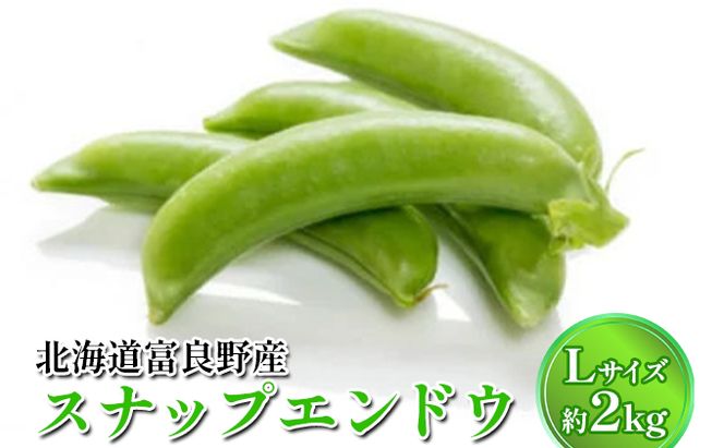【2026年春発送】数量限定 北海道 ふらの産 スナップ エンドウ Lサイズ 約2kg (嶋崎農園) 野菜 新鮮 直送 朝採り スナップエンドウ 道産 富良野 ふらの 