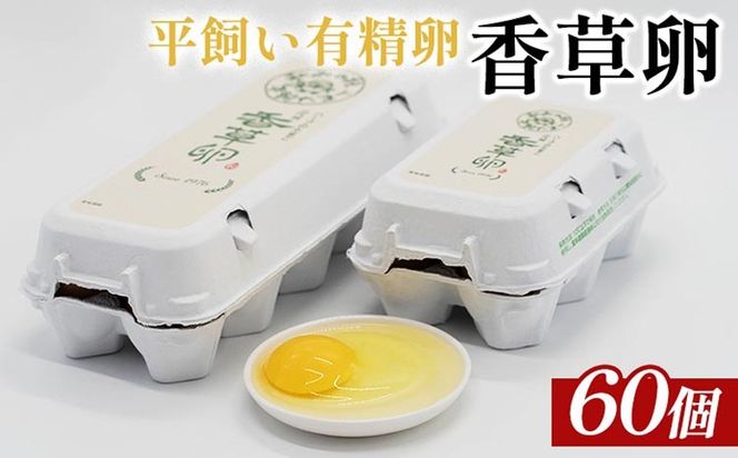 yȖ،szL@60i54+j⏞6jbSS@@܂@@{@Y@^}S