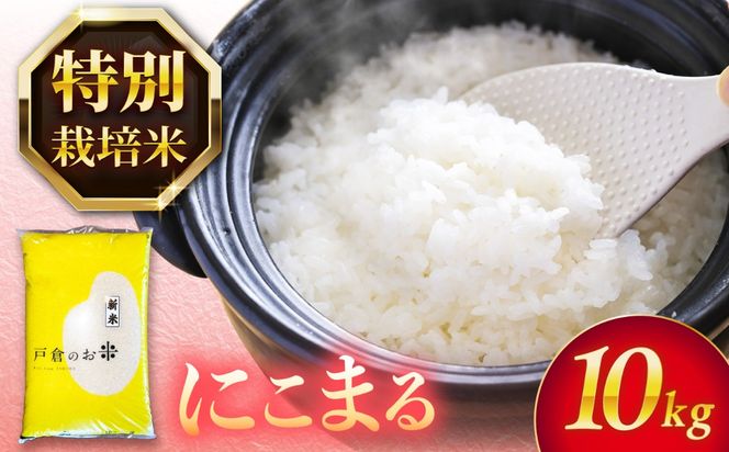 にこまる 白米 10kg / 戸倉トラクター[AECS056]
