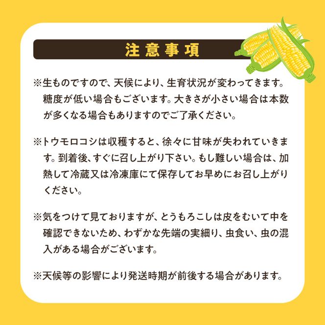 【来年度受付予約：2026年6月より発送】とうもろこし 農家直送！SDGs米糠堆肥で作った環境に優しいメロンより甘い 博多あまっコーン 4.5キロ以上 (10～15本) /酒見農産/トウモロコシ ※配送不可：離島
