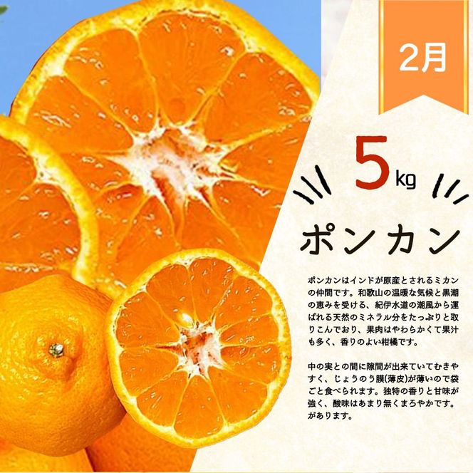 【発送月固定定期便】紀州和歌山産旬のフルーツセット(いちご2P・ポンカン・紀州デコ約3kg)全3回 【tkb451】