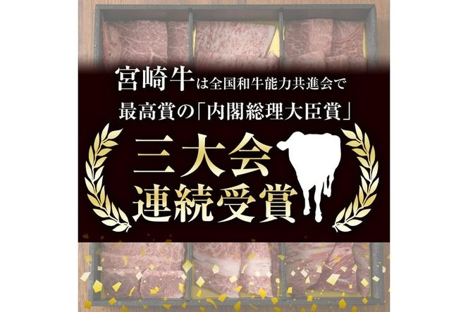 宮崎牛ロースステーキ(計500g・250g×2)お肉 牛肉 黒毛和牛 ブランド和牛 冷凍 国産 焼肉 BBQ【R-33】【ミヤチク】
