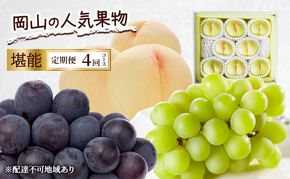 定期便 2026年 先行予約 岡山の人気果物 堪能 4回コース 清水白桃 桃 白桃 ぶどう ピオーネ シャインマスカット 赤磐市