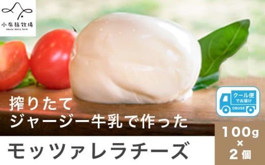 無添加 小布施牧場の搾りたてジャージー牛乳で作ったモッツァレラチーズ 100g × 2個 ［小布施牧場］チーズ モッツァレラ プレゼント 長野 信州 冷蔵便 クール便 ［B-14］