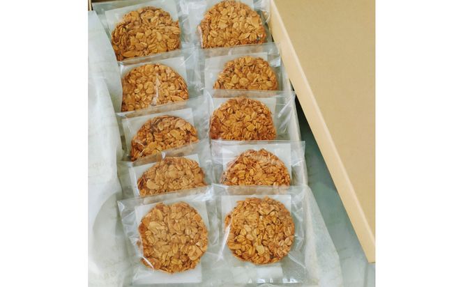 ヘルシーフロランタンオートミールクッキー 272183_DH001