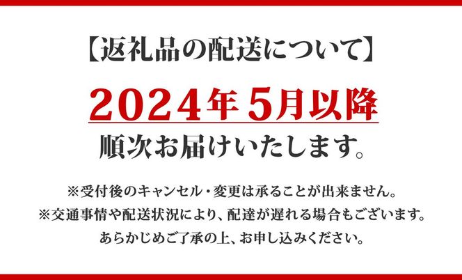 【CF】北海道 倶知安 カレー 4種 食べ比べ 計8個 中辛 スープカレー ビーフカレー ポークカレー 牛すじカレー じゃがいも 牛 牛肉 豚肉 肉 鳥 鶏 業務用 レトルトカレー 保存食 備蓄 まとめ買い お肉 