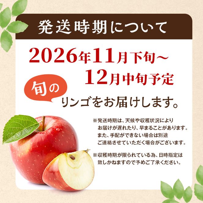 【2026年11月下旬～発送予定】先行予約 訳あり りんご サンふじ 約10kg 24～40玉入 家庭用 フルーツ 果物 甘い おいしい 林檎 リンゴ