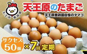 【定期便】7回定期 【天王原のたまご】 サクセス卵 50個入り 【定期便 7回定期便 セット たまご 卵 玉子 タマゴ 濃厚 ハリ 弾力 ボリューム 甘味 旨味 卵黄 風味 生 コク 甘味 卵かけご飯 卵焼き 目玉焼き オムレツ 茶碗蒸し お菓子作り パンの材料】
