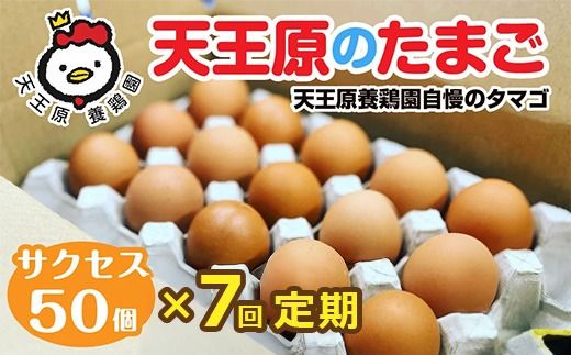 【定期便】7回定期 【天王原のたまご】 サクセス卵 50個入り 【定期便 7回定期便 セット たまご 卵 玉子 タマゴ 濃厚 ハリ 弾力 ボリューム 甘味 旨味 卵黄 風味 生 コク 甘味 卵かけご飯 卵焼き 目玉焼き オムレツ 茶碗蒸し お菓子作り パンの材料】