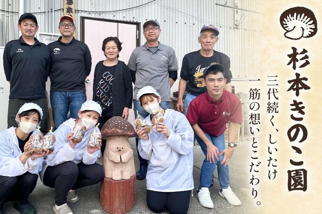 生しいたけ セット 約300g× 2袋 約150g× 2袋 計4袋 約900g [杉本きのこ園 宮崎県 美郷町 31bs0001] 菌床 椎茸 しいたけ シイタケ きのこ キノコ お鍋 天ぷら 炒め物 おかず