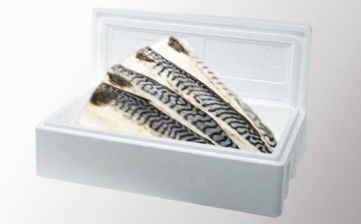 【定期便6回】10枚セット 一汐さば おろし大根付き N-88