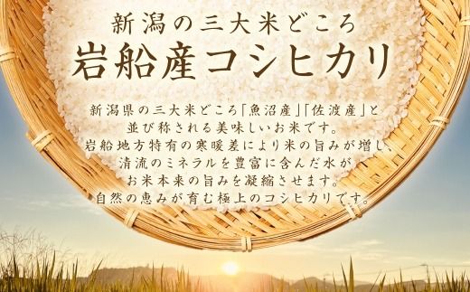 【新米受付・令和8年産米】新潟県村上市岩船産 コシヒカリ6kg（2kg×3袋）1099004N