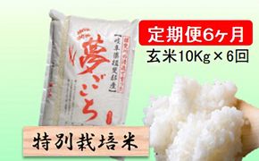 定期便 6カ月【 令和8年産 】毎月  玄米 10kg【 夢ごこち 】
