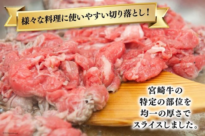 【宮崎牛】 切り落とし 500g×2 計1kg [ローカルブランディング 宮崎県 美郷町 31bb0018] 黒毛 和牛 国産 宮崎 A4 A5等級 牛肉 赤身 焼肉 宮崎県産 冷凍 送料無料 ブランド 牛 肉 霜降り BBQ バーベキュー キャンプ