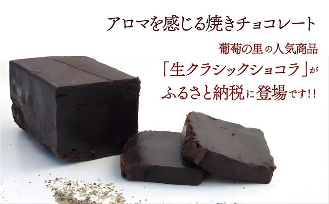  シャインマスカットレーズンショコラ＆生クラシックショコラ 019-001