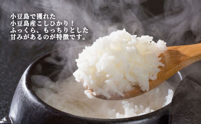 【 小豆島 】小豆島 滝宮で獲れたふっくらつやつや 小豆島産 コシヒカリ 300g×10個 こしひかり お試し 少量 小分け お米 米 白米 精米 もっちり 甘み 3kg 香川 香川県 土庄 土庄町