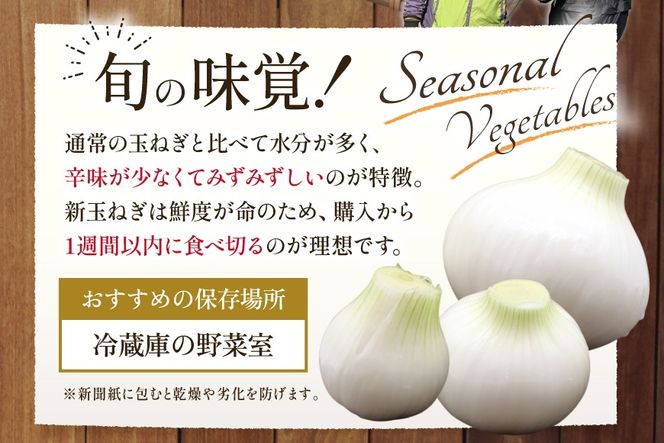 AJ113 【訳あり】 湧水の里 モリファーム 新玉ねぎ 3kg 不揃い (S～Lサイズ混合) [ 新たまねぎ 新たま 玉ねぎ たまねぎ タマネギ 生玉ねぎ サラダ おいしい ふぞろい 訳アリ 森農園 湧水の里 モリファーム 長崎県島原市 ]