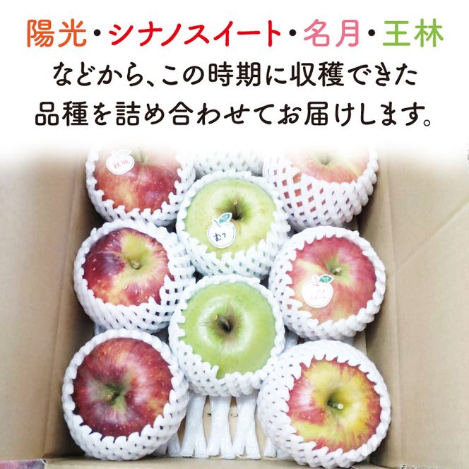 【先行予約・数量限定】三村観光りんご園の奥久慈りんご（各種詰め合わせ）約3kg【10月中旬頃順次発送予定】｜茨城県 大子町 林檎 旬 果物 フルーツ 果実 果汁 ギフト 贈答（BX001-1）