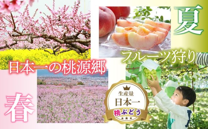 ふるさと納税石和温泉利用券＜利用券6,000円分＞ 038-011