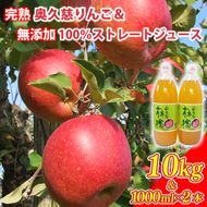 先行予約 奥久慈 りんご 10kg 24～40玉 りんごジュース 100％ リンゴジュース 飲料 無添加 ストレートジュース 樹上完熟 茨城県 大子町 フルーツ 果物 国産 詰め合わせ ふじ 秋映 陽光 シナノゴールド シナノスイート 秋 旬 お取り寄せ 数量限定 【2026年11月中旬頃順次発送開始予定】(AI005-1)