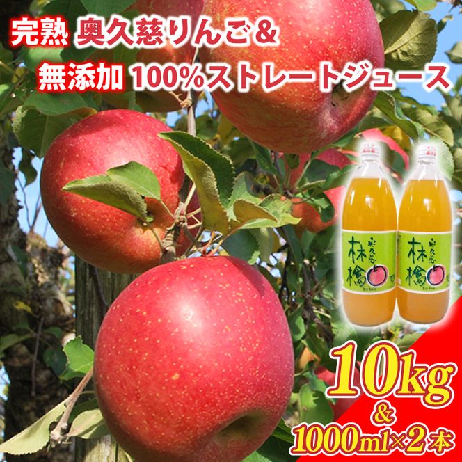 先行予約 奥久慈 りんご 10kg 24～40玉 りんごジュース 100％ リンゴジュース 飲料 無添加 ストレートジュース 樹上完熟 茨城県 大子町 フルーツ 果物 国産 詰め合わせ ふじ 秋映 陽光 シナノゴールド シナノスイート 秋 旬 お取り寄せ 数量限定 【2026年11月中旬頃順次発送開始予定】(AI005-1)