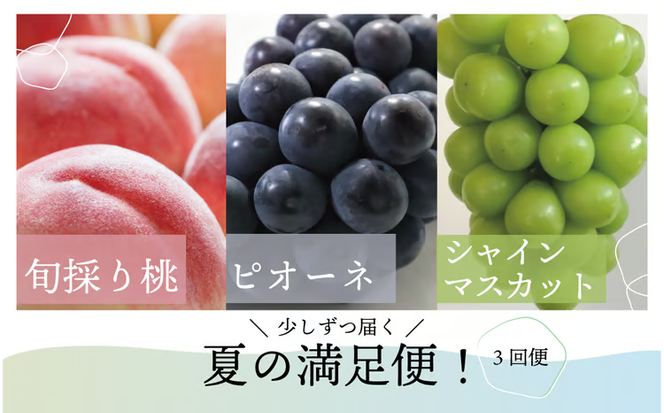 【2026年先行予約】桃、ピオーネ、シャインマスカットが少しずつ届く夏の満足便！３回便(定期便) (岡山県産)【KF-T022-02】