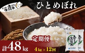 【新米先行予約】定期便 全12回 ひとめぼれ 4kg(2kg×2)×12回 計48kg 令和8年産〈土づくり実証米〉JAしんせい【 精米 白米 米 コメ お米 ブランド米 ご飯 秋田 にかほ 】