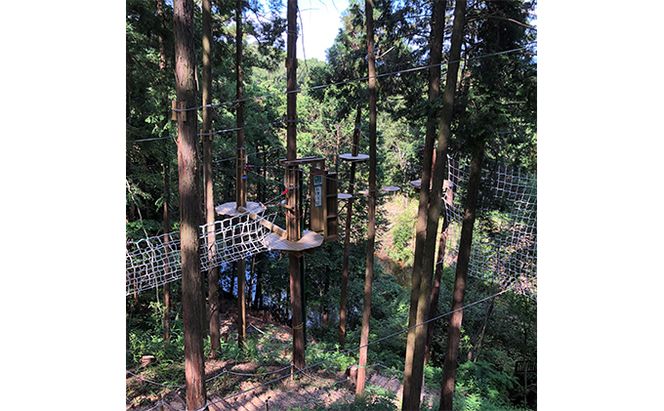 冒険の森inおうじ　アドベンチャーコース3名様チケット 入場券 優待券 体験チケット 