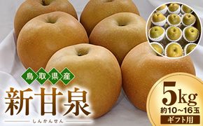 【2026年度先行予約】数量限定　鳥取県産　新甘泉 ギフト用 5kg(約10〜16玉)【8月20日以降発送】 313726_DE001
