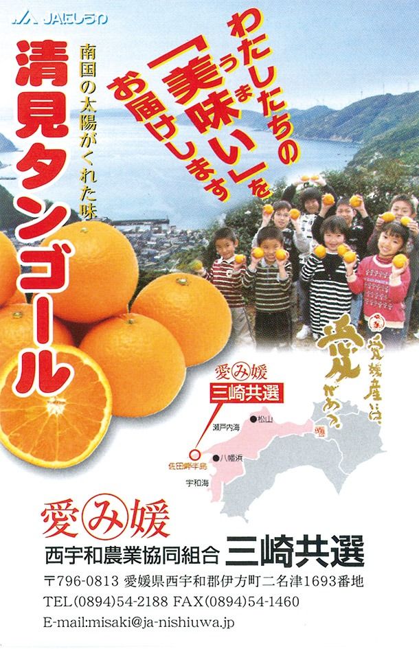 【先行予約】【家庭用】清見タンゴール 5kg ※離島への配送不可（2027年3月上旬～4月上旬頃より順次発送予定） IKTBD017