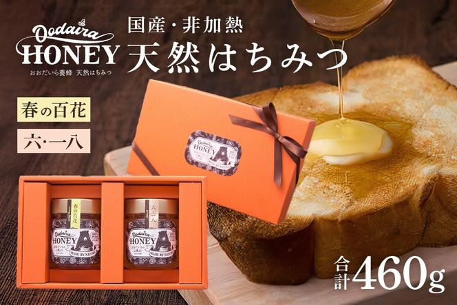 y򕌌SÒz299.YVR M݂͂ 230g 2{Zbgut̕Sԁvu6.18v