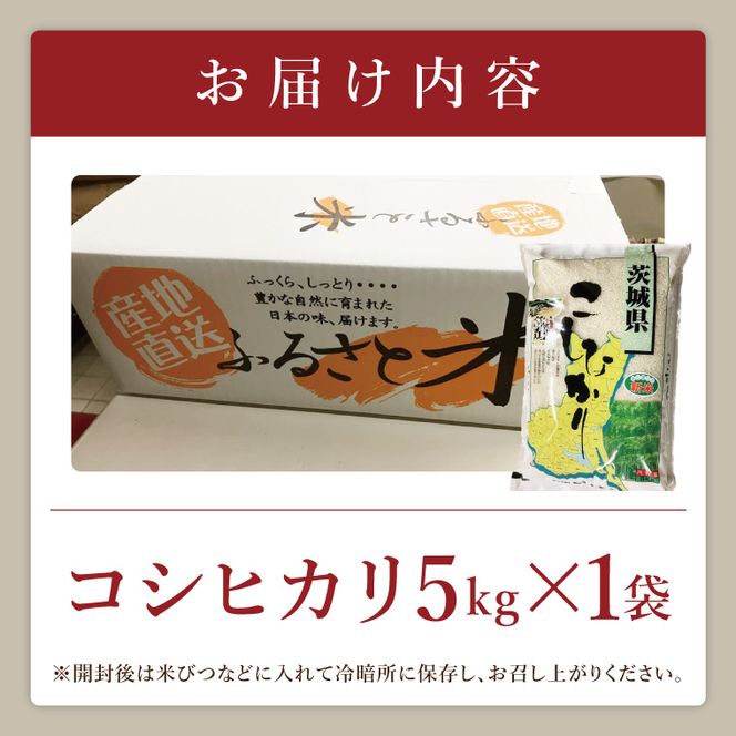 【数量限定】R7年産取手市産コシヒカリ 精米5kg|お米 米 こしひかり コシヒカリ 白米 茨城県 取手市（BS001）